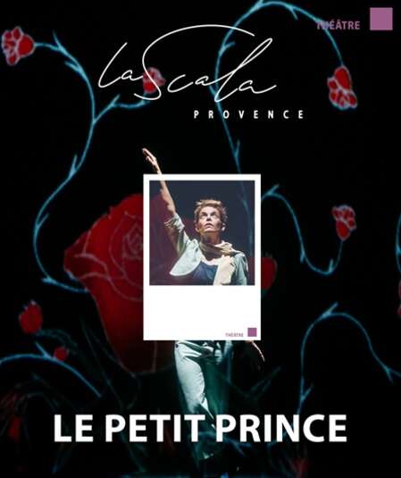 Affiche du spectacle Le Petit Prince