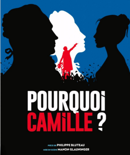 Affiche du spectacle Pourquoi Camille ?