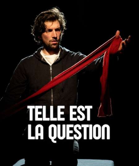 Affiche du spectacle Telle est la Question